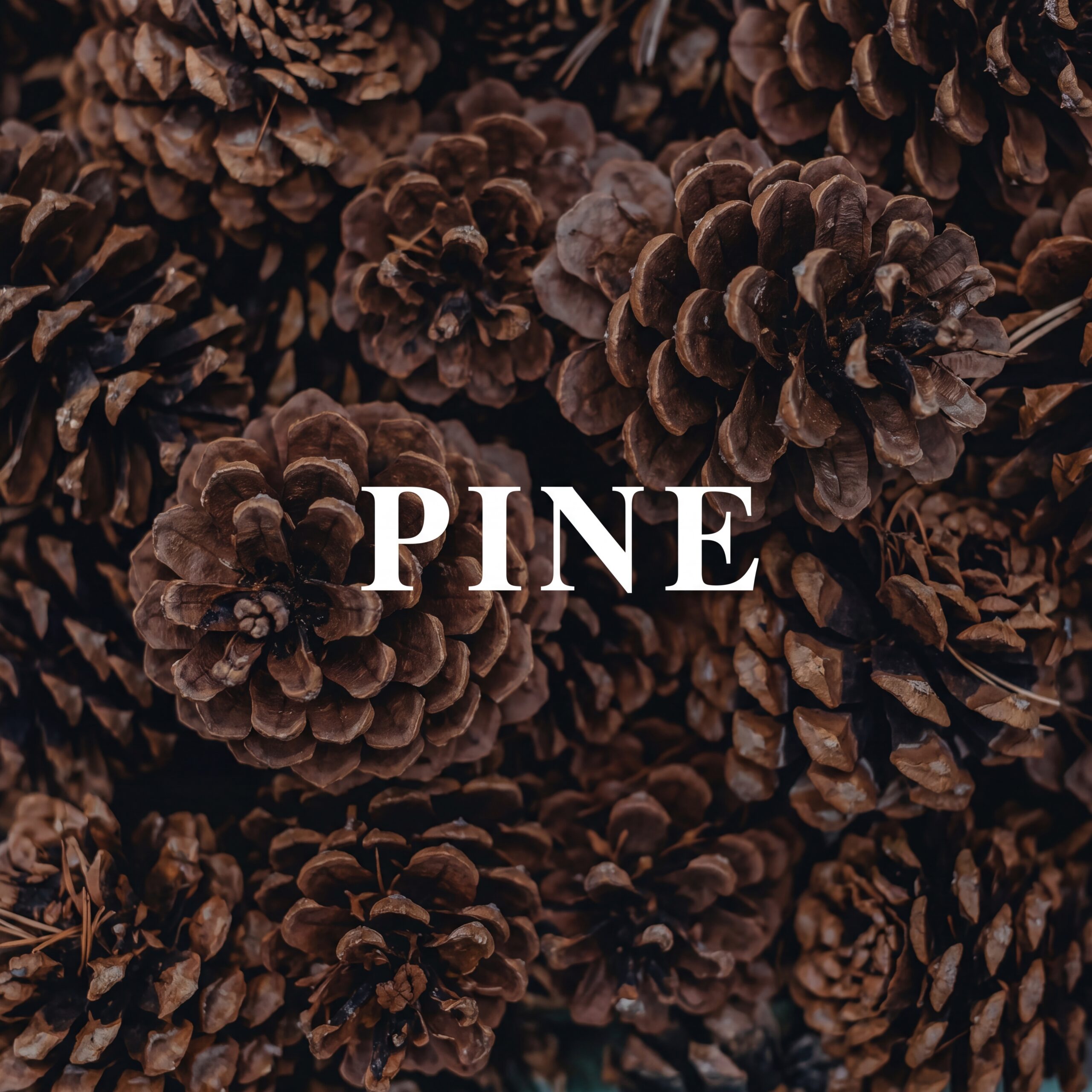 Pine