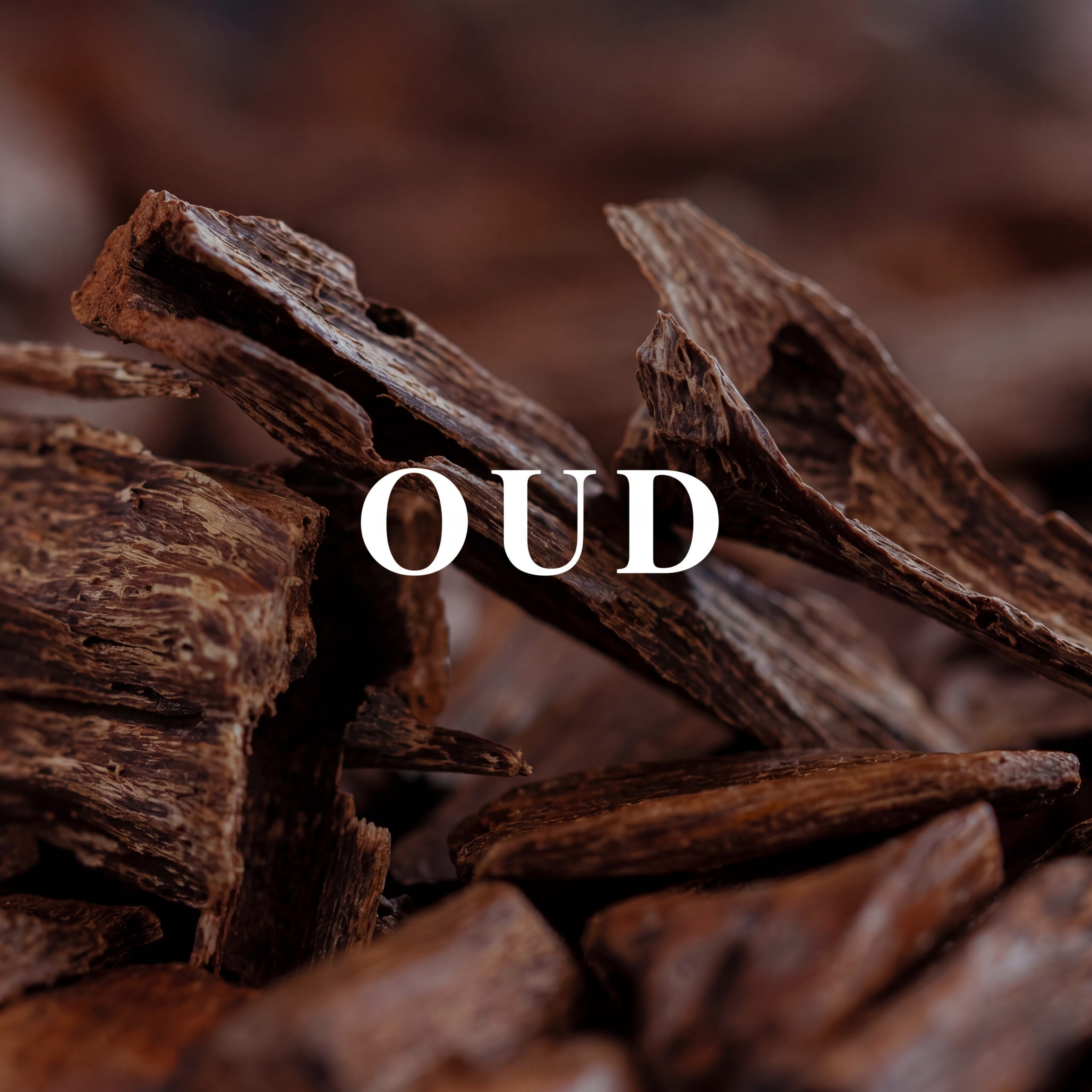 Oud