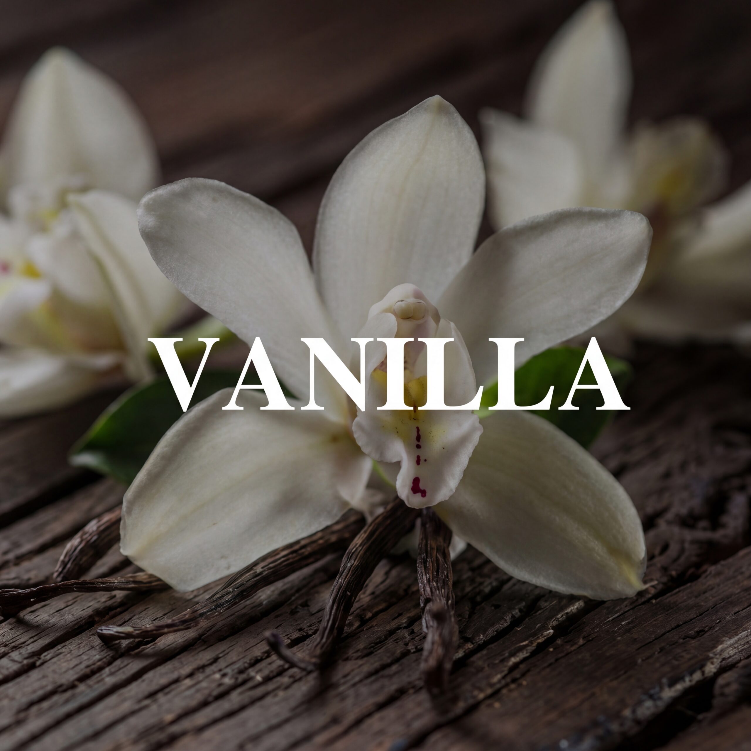 Vanilla